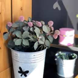 Décoration Salon : Créez un Salon Accueillant et Chaleureux pour vos Moments de Vie Greasque