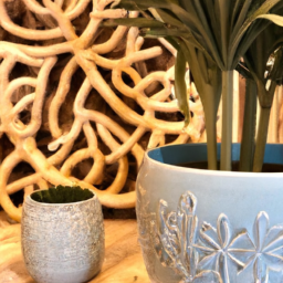 Home Staging : Préparez votre Propriété pour une Vente Réussie et Sans Encombre Entzheim